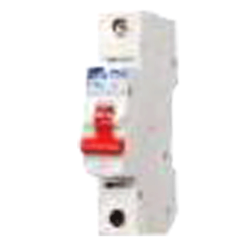 C&S Electric 100A Single Pole Isolator